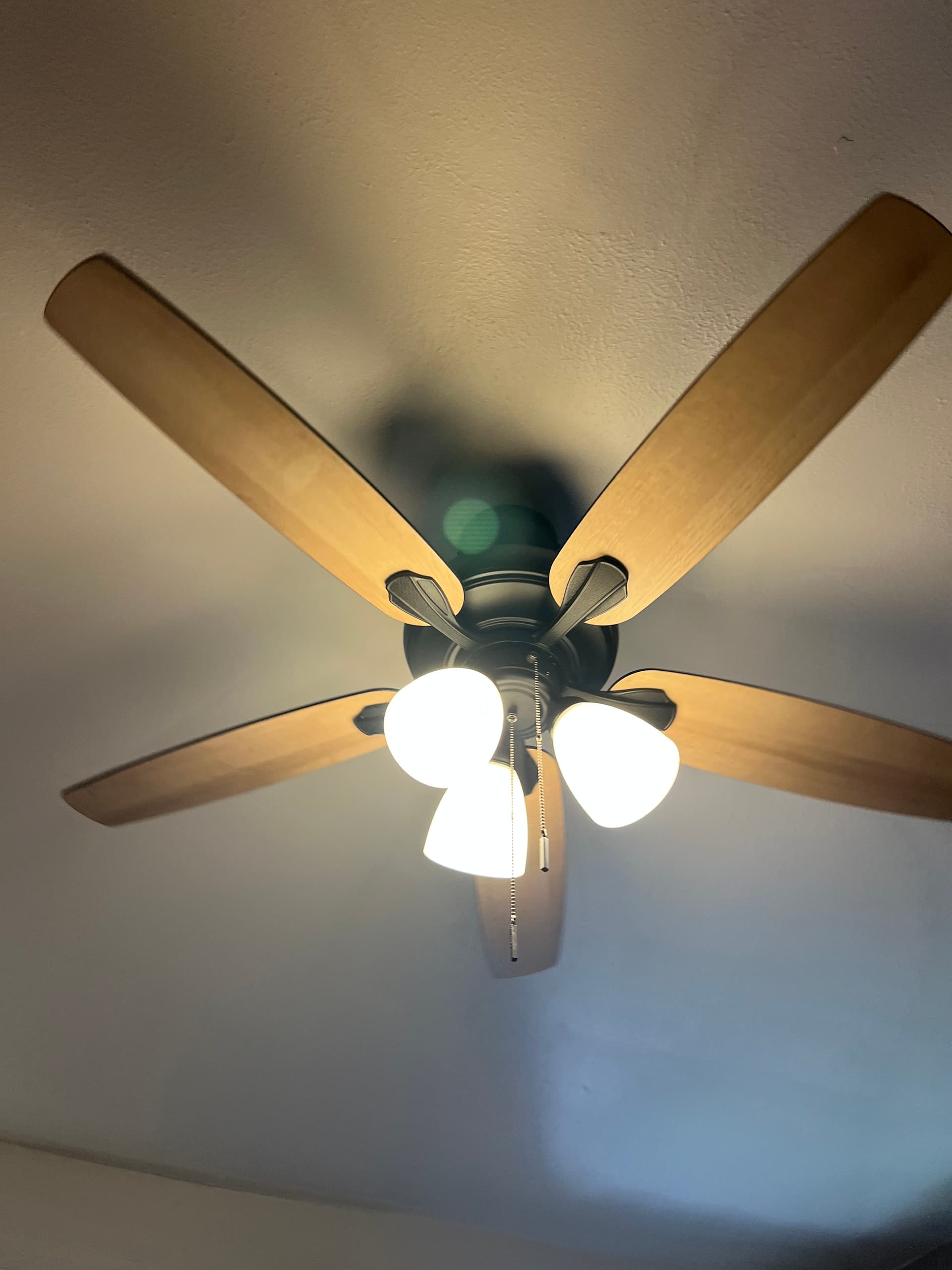 Ceiling Fan Installation That Adds Comfort and Light