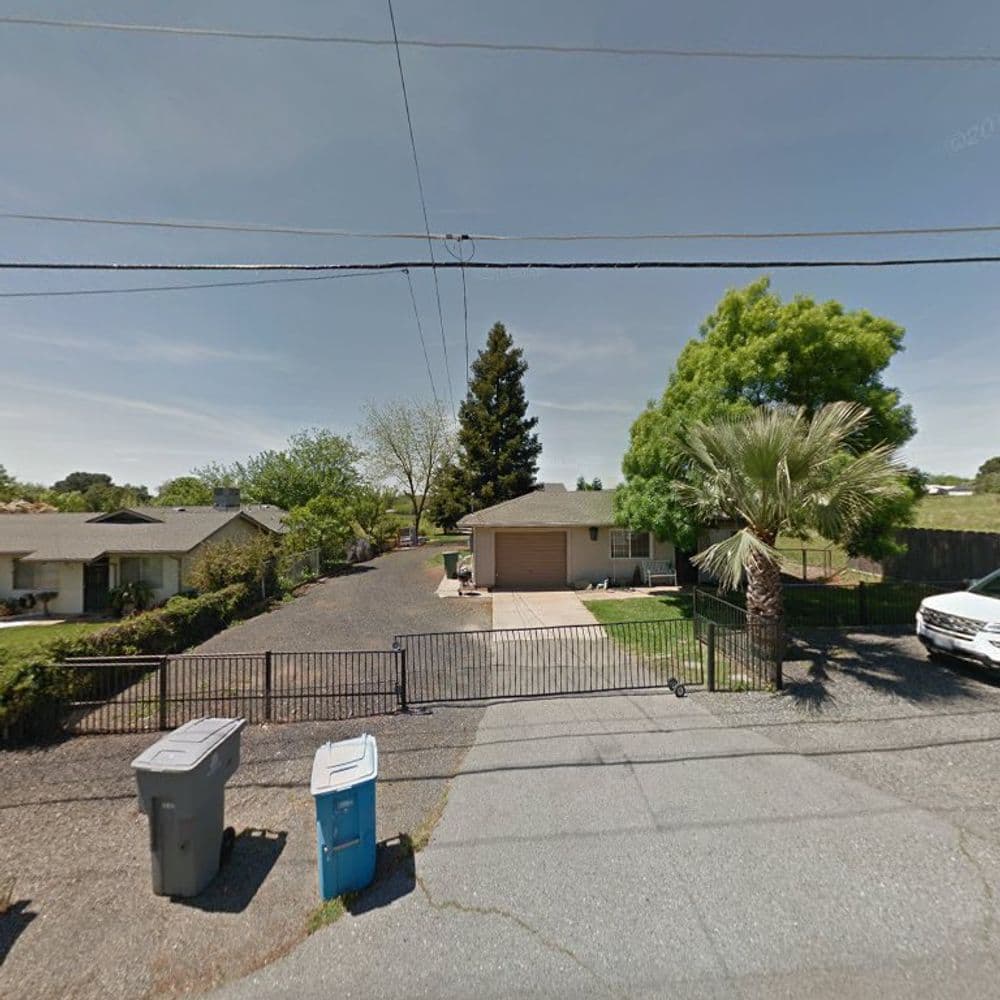 House with palm tree and green lawn, surrounded by fence, located in a residential area.