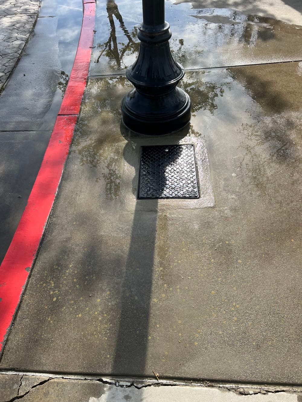 Pavement with puddle reflection and lamp post casting shadow beside red curb line.